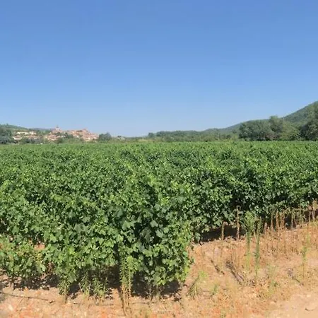 Homestay Les Martinets: Countryside Retreat With Pool And Jacuzzi