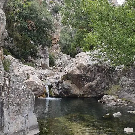 Проживание в семье Les Martinets-piscine-jacuzzi-voie Verte-gorges D'heric-massif Du Caroux Mons Olargues 34600 Le Poujol-sur-Orb