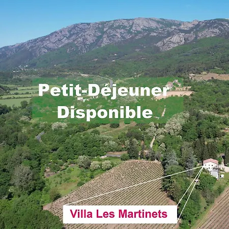 Villa Les Martinets-Parking Prive-Piscine-Jacuzzi-Chambres Climatisees 民宿