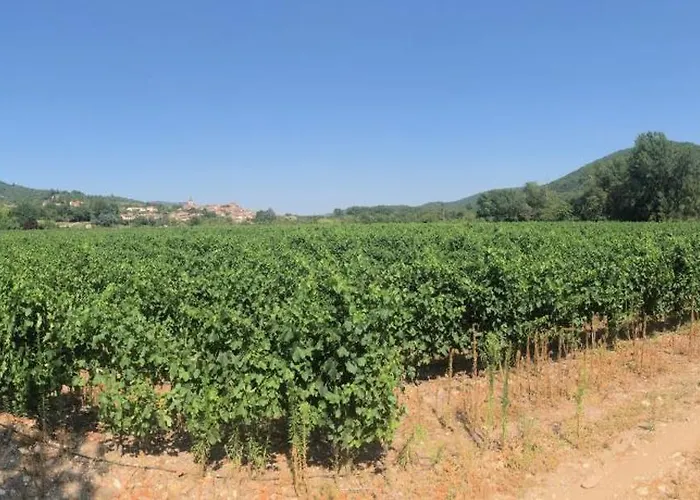 Privat bolig Les Martinets-voie Verte-gorges D'heric-massif Du Caroux-mons-olargues