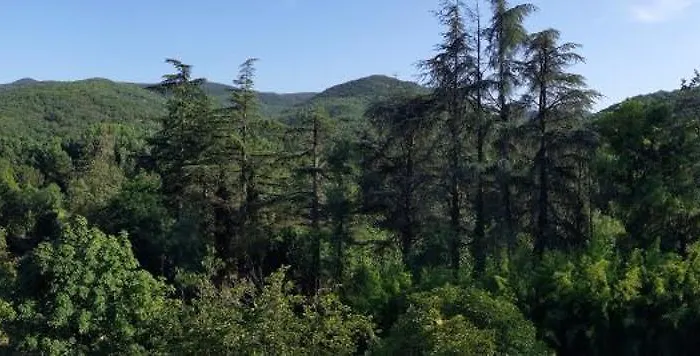 Les Martinets-voie Verte-gorges D'heric-massif Du Caroux-mons-olargues Privat bolig *